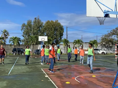 inclusion